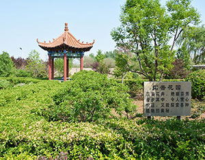 厂景厂貌
